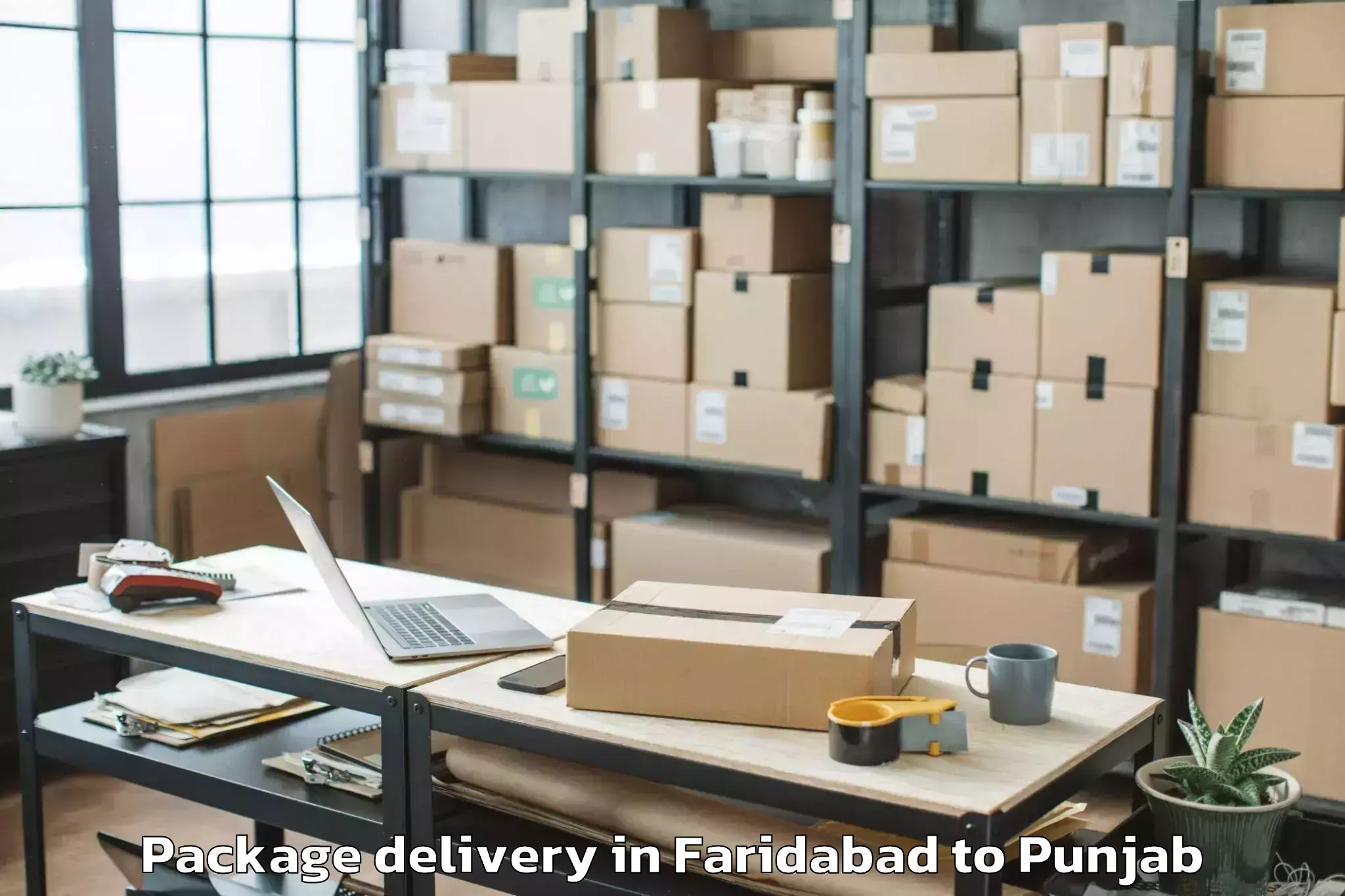 Faridabad to Guru Kashi University Talwandi Package Delivery